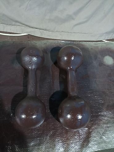 Гантели: Продаю Гантели Штанги грушу Брусья Турник. все Комплектом. Качество — 5