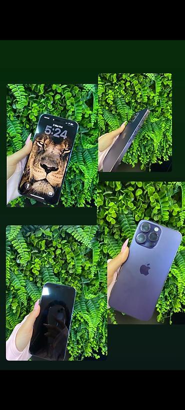 16 pro max gold: IPhone 14 Pro, Deep Purple — 1