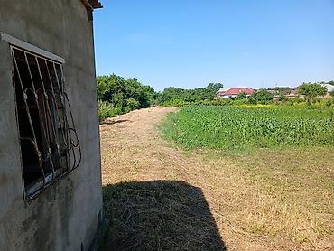 Həyət evləri və villaların satışı: Satış üçün həyətyanı sahə və ev - Geniş, hasarlanmış torpaq sahəsi — 10