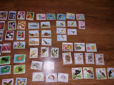 Markalar: * Sovet vaxtından qalan xarici markalar. Yeni olaraq o vaxtdan bağlı — 3