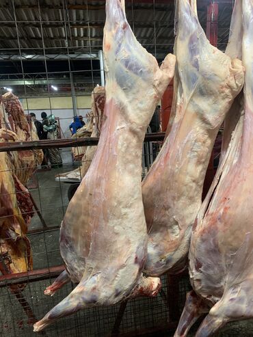 цена баранины в бишкеке: Баранина мясо оптом и в розницу