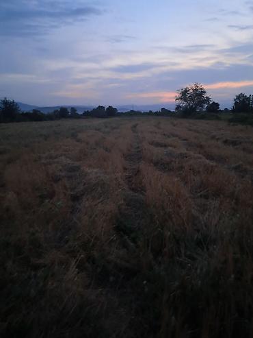 torpaq pirşağı: 64 sot, Kənd təsərrüfatı, Kupça (Çıxarış) — 1