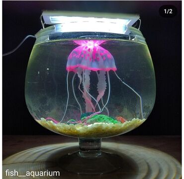 аквариум с рыбами: Аквариум в форме бокала с декорациями, лампой