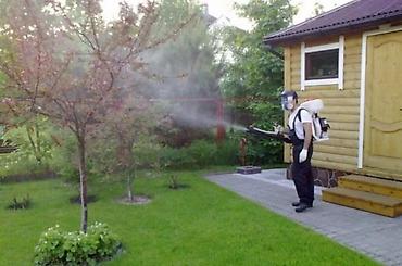 Другие услуги: Садовник! Стрижка изгороди! Улуги садовника. Наши услуги: Обработка — 11