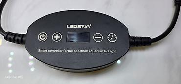 кел кел: Продаю лампу Ledstar WRGB full spectrum размер лампы 85 см подойдёт — 2
