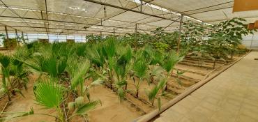 Bağ evlərinin satışı: Bakı, Türkan qəs., 1500 kv. m, 7 otaqlı, Hovuzlu, Qaz, İşıq, Su — 11