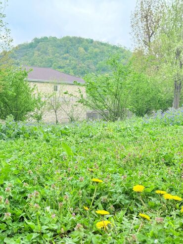 Torpaq sahələrinin satışı: 15 sot, Tikinti, Mülkiyyətçi, Kupça (Çıxarış) — 3