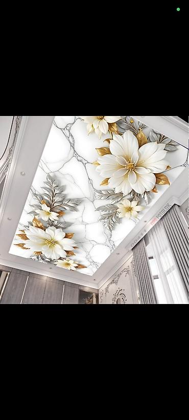 Натяжной потолок: Натяжной потолок Матовое, 3D потолки, Глянцевое Гарантия, Демонтаж, Монтаж — 23