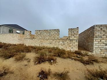sarayda torpag: 2 sot, Tikinti, Mülkiyyətçi, Kupça (Çıxarış) — 2