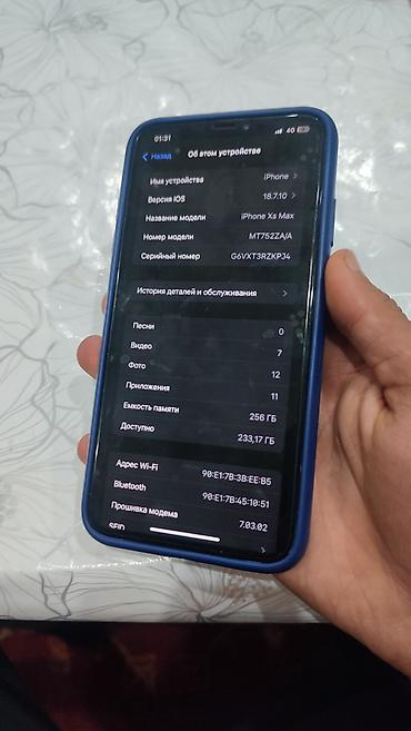 IPhone Xs Max, Б/у, 256 ГБ, Серебристый, Чехол, 59 %