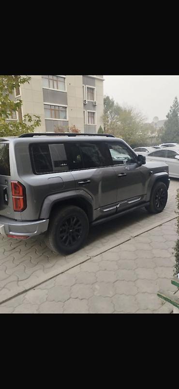 спойдер: BYD FangChengBao Leopard 5: 2025 г. — 4