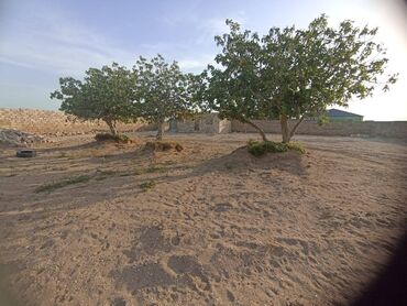 Torpaq sahələrinin satışı: 18 sot, Tikinti, Makler, Bələdiyyə — 3