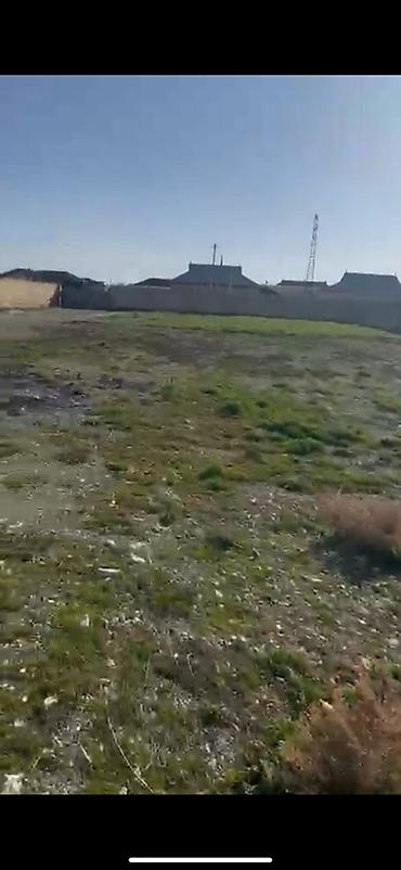 kirayə ev zabrat 1: 12 sot, Kənd təsərrüfatı, Kupça (Çıxarış) — 3