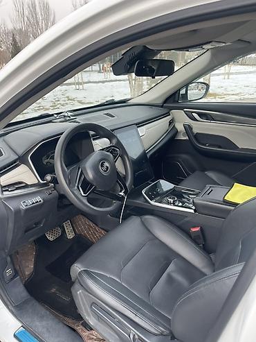 JMEV: JMEV EX5: 2020 г., Электромобиль, Кроссовер — 9