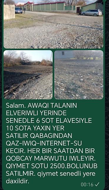 pirşaği torpaq: 6 sot, Kənd təsərrüfatı, Mülkiyyətçi, Kupça (Çıxarış) — 4