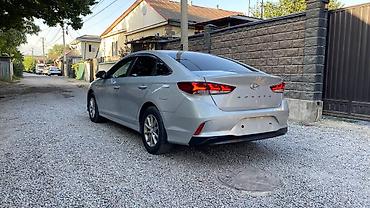 sonata: Hyundai Sonata: 2019 г., 2 л, Автомат, Газ — 3