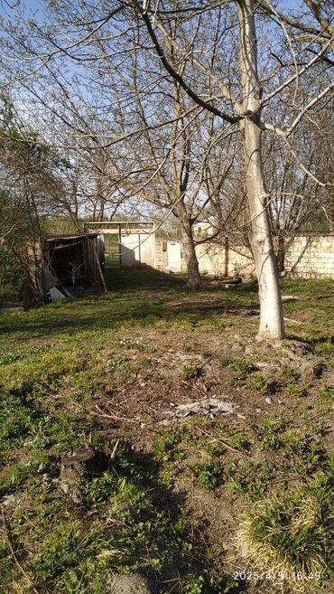 Bağ evlərinin satışı: Xudat, 170 kv. m, 3 otaqlı — 20