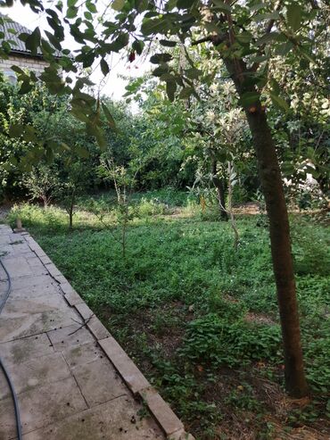 Köhnə tikili: Obyekt: Köhnə üslubda, geniş otaqlara və böyük pəncərələrə malik — 10