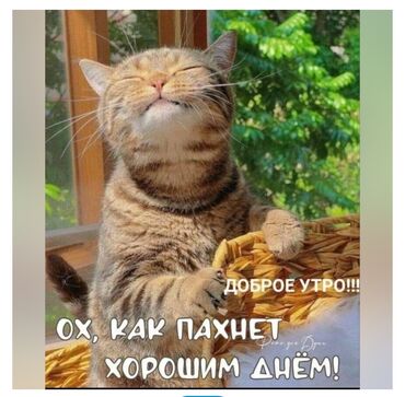 работа в бишкеке 1500 сом в день без опыта: Требуется Уборщица, Оплата Дважды в месяц