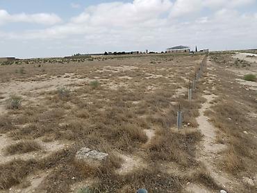 torpaq alışı: 20370 sot, Biznes üçün, Kupça (Çıxarış) — 2