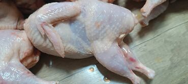 шаурма на углях бишкек: Перепелиные тушки мы в центре города, вес тушки 300 грамм. Качество at lalafo.kg шаурма на углях бишкек: Перепелиные тушки мы в центре города, вес тушки 300 грамм. Качество