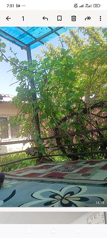 ош продажа: Продаю дом в село таш добо — 6