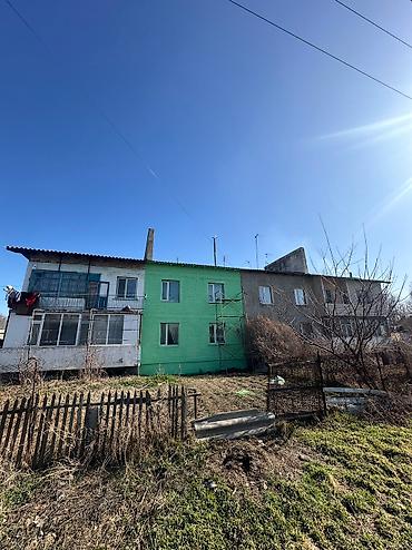 Покраска: Покраска дверей, Покраска наружных стен, Покраска окон, На водной основе, На масляной основе, Больше 6 лет опыта — 3