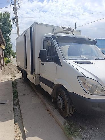 термокинг смх: Легкий грузовик, Mercedes-Benz, Стандарт, 3 т, Б/у — 8