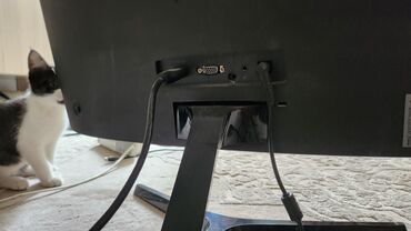 мониторы 22: Монитор, Samsung, Колдонулган, 23" - 24"