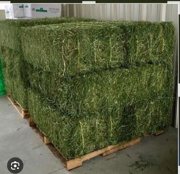 Корма для с/х животных: Сено в тюках, подходит для кормления скота. Удобно для хранения и