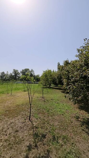 Torpaq sahələrinin satışı: 185 sot, Mülkiyyətçi, Kupça (Çıxarış) — 15