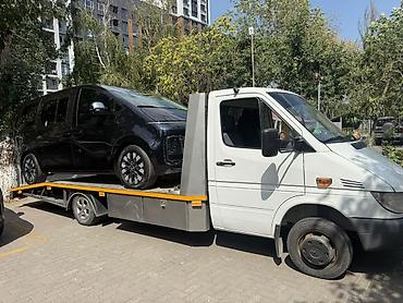 коневозка купить: С лебедкой — 1