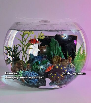 аквариум и рыбки: Аквариумный комплект Круглый аквариум 3 литра Фильтр Компрессор +шланг