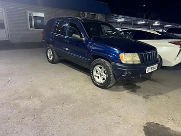 grand cherokee: Jeep Grand Cherokee: 2002 г., 4.7 л, Автомат, Бензин, Внедорожник — 3