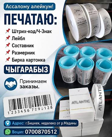 Печать: Печать этикеток и маркировки для текстиля и одежды. Что — 14