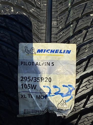 пайа: Michelin Pilot Alpin 5 MO1 — зимние шины UHP для мощных автомобилей — 4