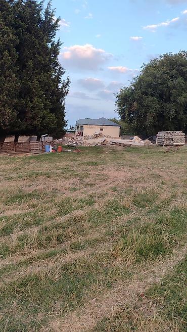 bakıda: 50 sot, Tikinti, Mülkiyyətçi, Texniki pasport, Kupça (Çıxarış) — 1