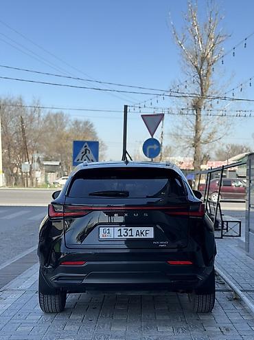 Lexus: Lexus NX: 2023 г., 2.5 л, Автомат, Бензин, Кроссовер at lalafo.kg — 5 Lexus: Lexus NX: 2023 г., 2.5 л, Автомат, Бензин, Кроссовер — 5
