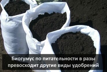 Грунт, чернозем: Биогумус. Соолжан колифорнический черви. Сатылат продается. и — 5