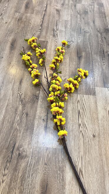 Digər ev dekoru: 10 man baslayan qiymetlerr — 6