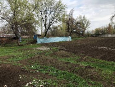 Продажа участков: 2600 соток, Тех паспорт, Генеральная доверенность, Красная книга — 8