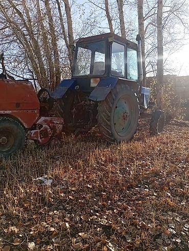 ксб 80: Мтз 80 сокосу менен сатылат баасы 350 — 6