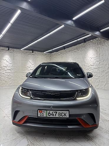 BYD: BYD Dolphin: 2022 г., Электромобиль, Хэтчбэк — 2