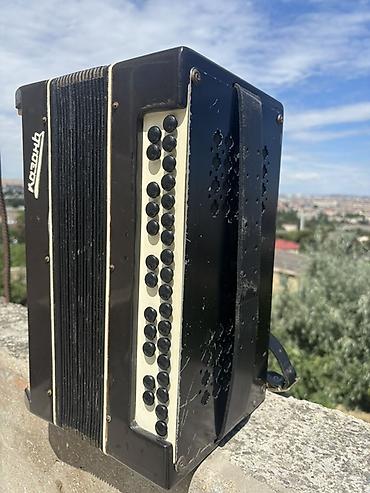 akkardion: Akustik Akkordeon, Yeni, Ünvandan götürmə, Ödənişli çatdırılma — 3