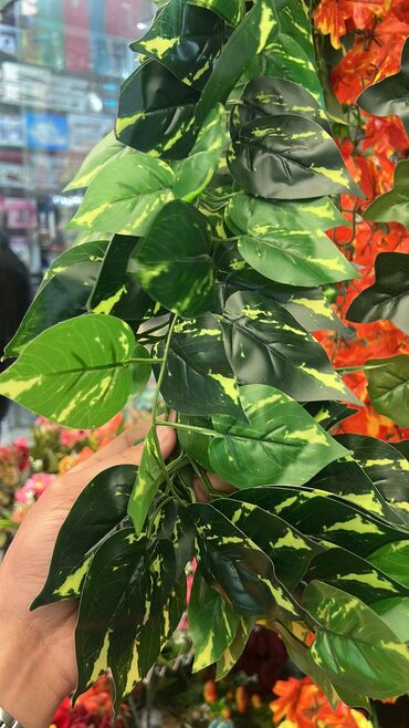 Süni güllər: 2 azn başlayan qiymətlər depodan bi̇r başa satiş suni yarpağ dekor — 10