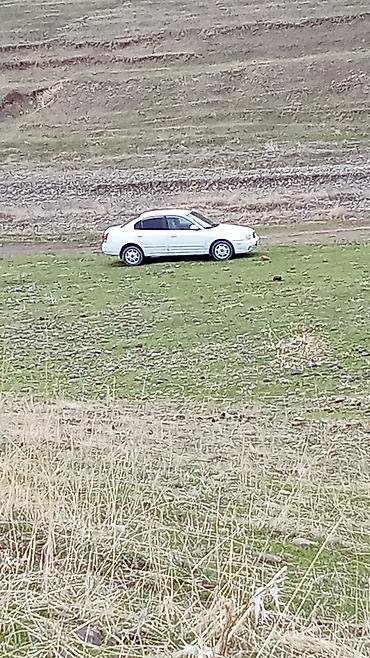 шампунь для авто: Hyundai Elantra: 2001 г., 1.6 л, Автомат, Бензин, Седан — 5