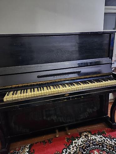 elektron saz: Piano, Belarus, Akustik, İşlənmiş, Ünvandan götürmə — 4