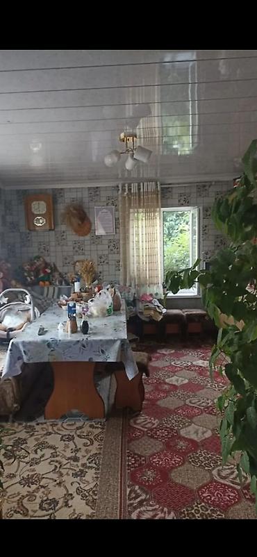гараж каракол: 60 м², 3 бөлмө, Жаныбарлар менен болот — 3
