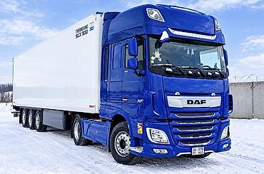 даф автомат: Тягач, DAF, 2018 г., Холодильник, рефрижератор — 1