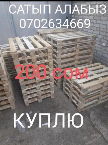 лоток для яйца: КУПЛЮ паддоны